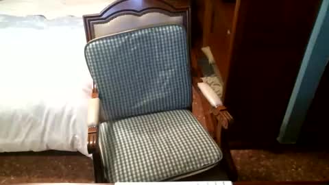 Oscar online show from 12/16/25, 04:23