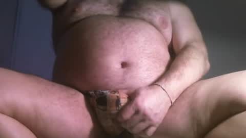 Oso Licencioso online show from 07/11/26, 06:54