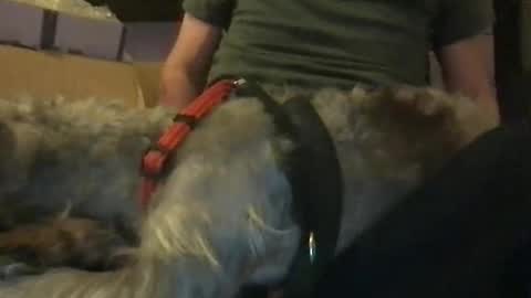 Snapshot of ossignol_xxx chatting on 01/16/25, 06:14 rossignol online show from 01/16/25, 06:14