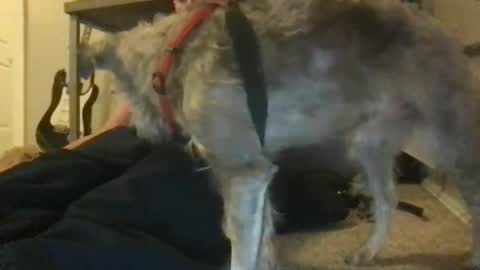 Snapshot of ossignol_xxx chatting on 01/22/25, 04:44 rossignol online show from 01/22/25, 04:44