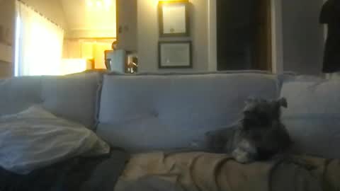 Snapshot of ossignol_xxx chatting on 02/27/25, 01:16 rossignol online show from 02/27/25, 01:16