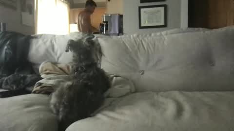 Snapshot of ossignol_xxx chatting on 09/13/25, 04:29 rossignol online show from 09/13/25, 04:29