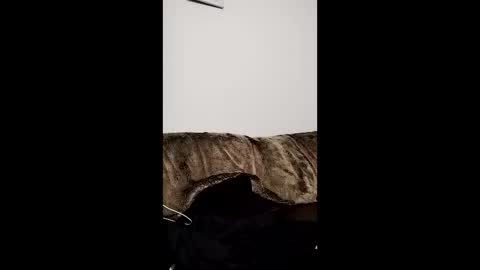 Owen kayz online show from 04/29/26, 09:21