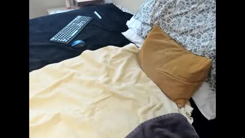 Snapshot of p_guin12345 chatting on 02/22/26, 04:05 p guin12345 online show from 02/22/26, 04:05