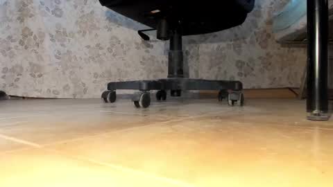 Pablo Meness online show from 12/16/25, 02:33