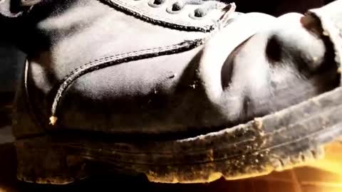 Pablo Meness online show from 01/31/26, 08:29