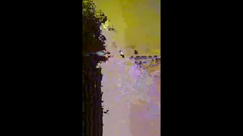 Mr. Pac online show from 12/14/25, 12:54