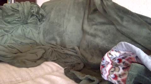 paintdude424 online show from 09/26/25, 01:48