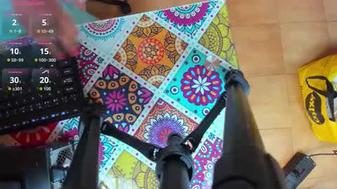 PALOMA 3 online show from 11/24/25, 11:10