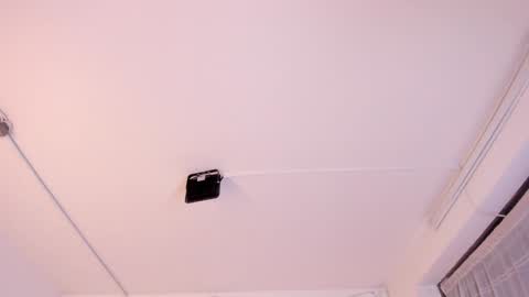 Paloma  online show from 02/03/25, 11:36