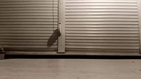 angel hris online show from 02/25/26, 04:27