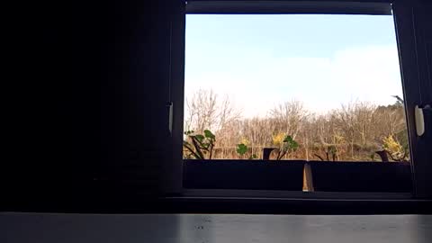 angel hris online show from 04/03/26, 03:43