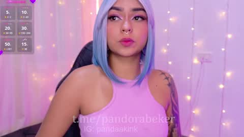 Snapshot of pandorabeker chatting on 01/09/25, 10:52    online show from 01/09/25, 10:52