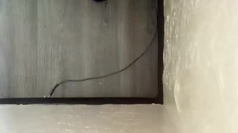 Snapshot of pantieplaytime52532 chatting on 12/25/24, 05:16 pantieplaytime52532 online show from 12/25/24, 05:16