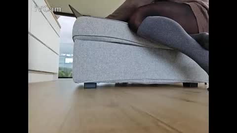pantyhose_ggggg online show from 06/03/26, 11:02