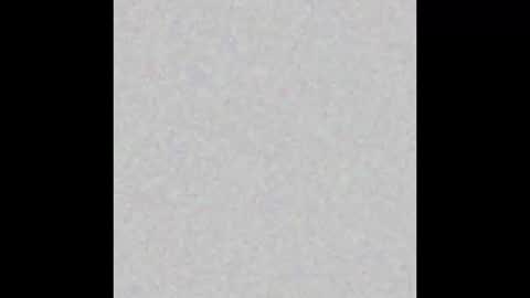 Paola Williams online show from 01/22/25, 09:32