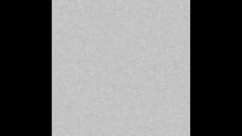 Paola Williams online show from 11/13/25, 08:41