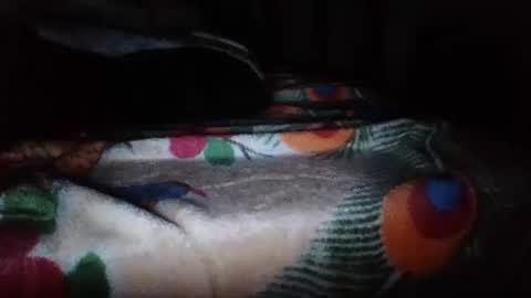 papi mexicano en boxers online show from 11/20/25, 06:46