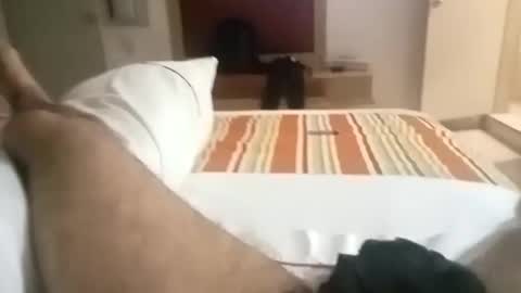 papitote32cm online show from 04/21/26, 11:51