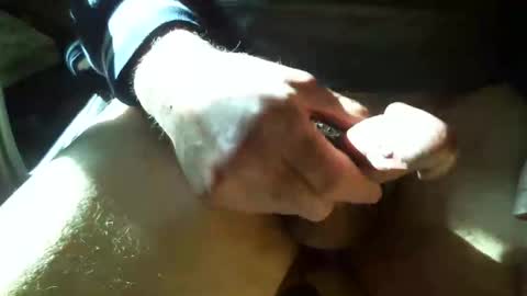 Shmoo online show from 02/26/26, 06:18