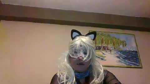 aventuras en pelotas online show from 03/12/25, 07:17