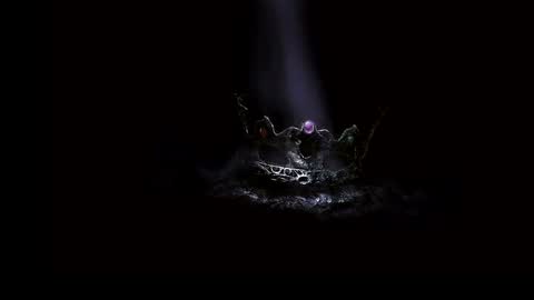 Paris online show from 01/31/25, 11:35