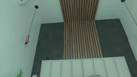 PARIS online show from 02/01/25, 11:48