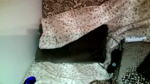 Parlay tellio online show from 12/23/24, 10:33