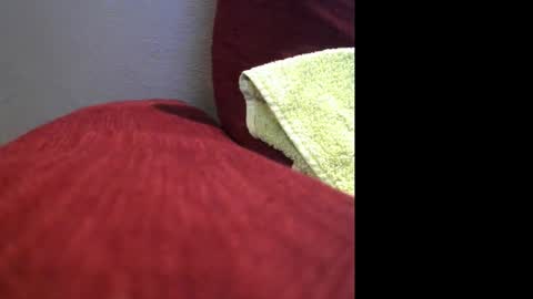 partofme83 online show from 11/07/25, 09:04