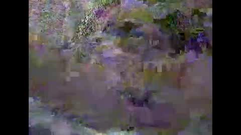 anytimeuwant online show from 02/03/26, 12:32