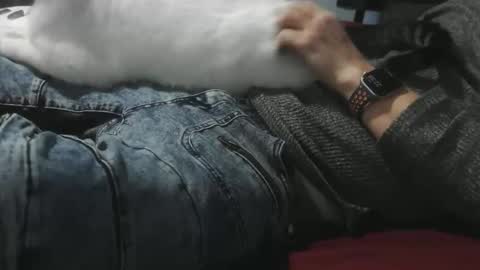 pasexhibe online show from 02/01/26, 03:38