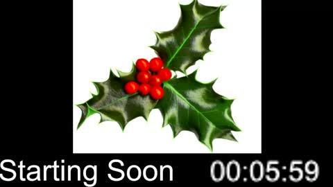 Passion4Fashion online show from 12/25/24, 09:00