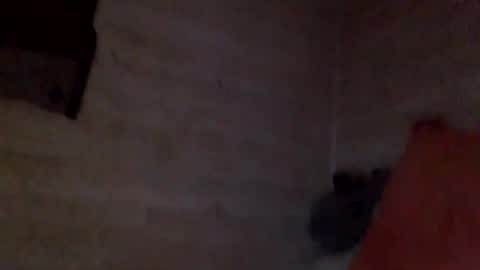 Pati24 online show from 02/26/26, 10:25