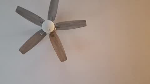 Snapshot of patrick247288 chatting on 01/12/25, 09:40 patrick247288 online show from 01/12/25, 09:40