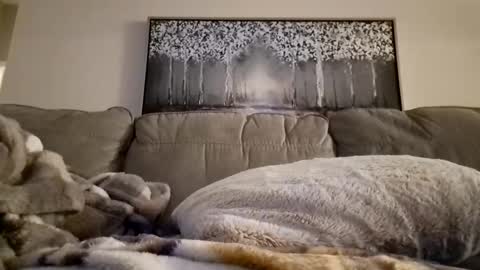 Snapshot of patrick247288 chatting on 02/12/25, 12:22 patrick247288 online show from 02/12/25, 12:22