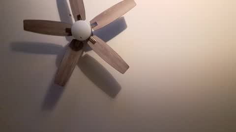 Snapshot of patrick247288 chatting on 09/09/25, 04:34 patrick247288 online show from 09/09/25, 04:34