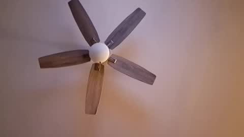 Snapshot of patrick247288 chatting on 09/17/25, 04:47 patrick247288 online show from 09/17/25, 04:47