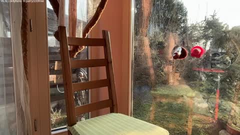 Andreea online show from 03/16/26, 05:44