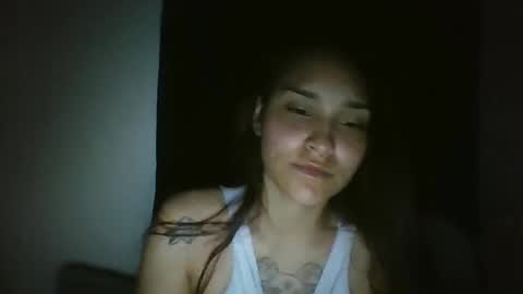 Snapshot of pau_cat chatting on 04/27/26, 06:55 Pau online show from 04/27/26, 06:55