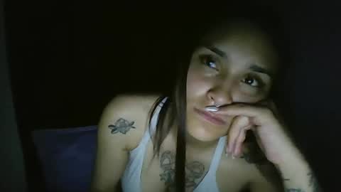 Snapshot of pau_cat chatting on 05/13/26, 05:38 Pau online show from 05/13/26, 05:38