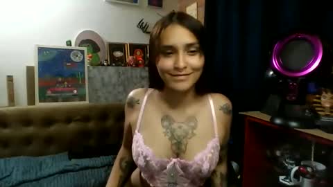 Snapshot of pau_cat chatting on 05/27/26, 11:46 Pau online show from 05/27/26, 11:46