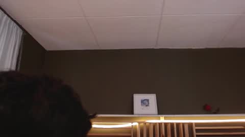 Paul online show from 11/13/25, 01:54