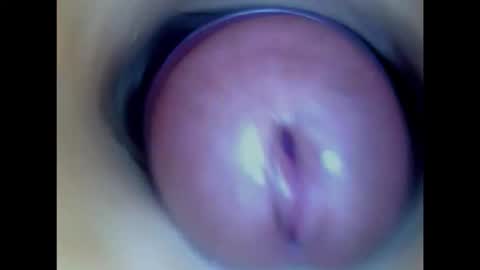 Paula 18 Aninhos online show from 02/03/26, 06:40