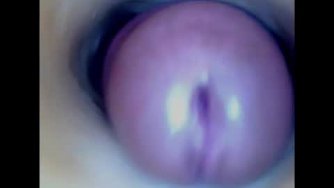 Paula 18 Aninhos online show from 02/14/26, 03:31