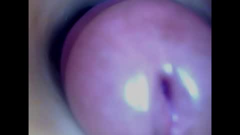 Paula 18 Aninhos online show from 02/27/26, 06:13