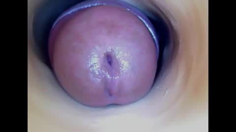 Paula 18 Aninhos online show from 04/01/26, 03:53