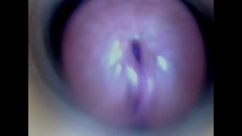 Paula 18 Aninhos online show from 04/05/26, 02:20