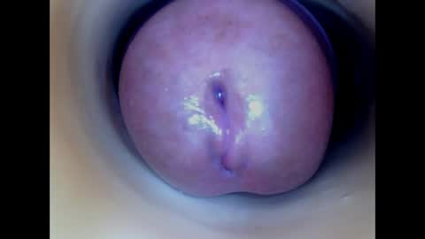 Paula 18 Aninhos online show from 04/05/26, 02:25