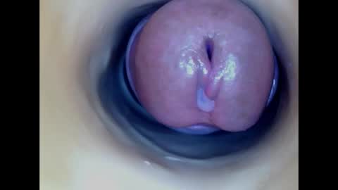 Paula 18 Aninhos online show from 04/13/26, 04:07