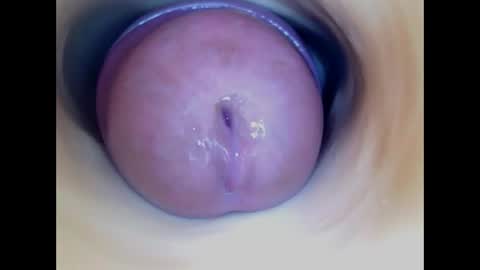 Paula 18 Aninhos online show from 04/15/26, 07:58